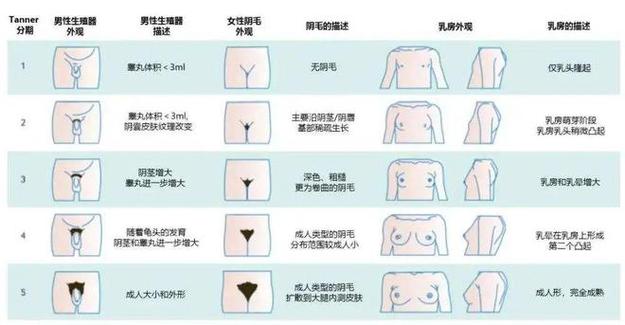 AAAA级毛与AAAA的不同之处