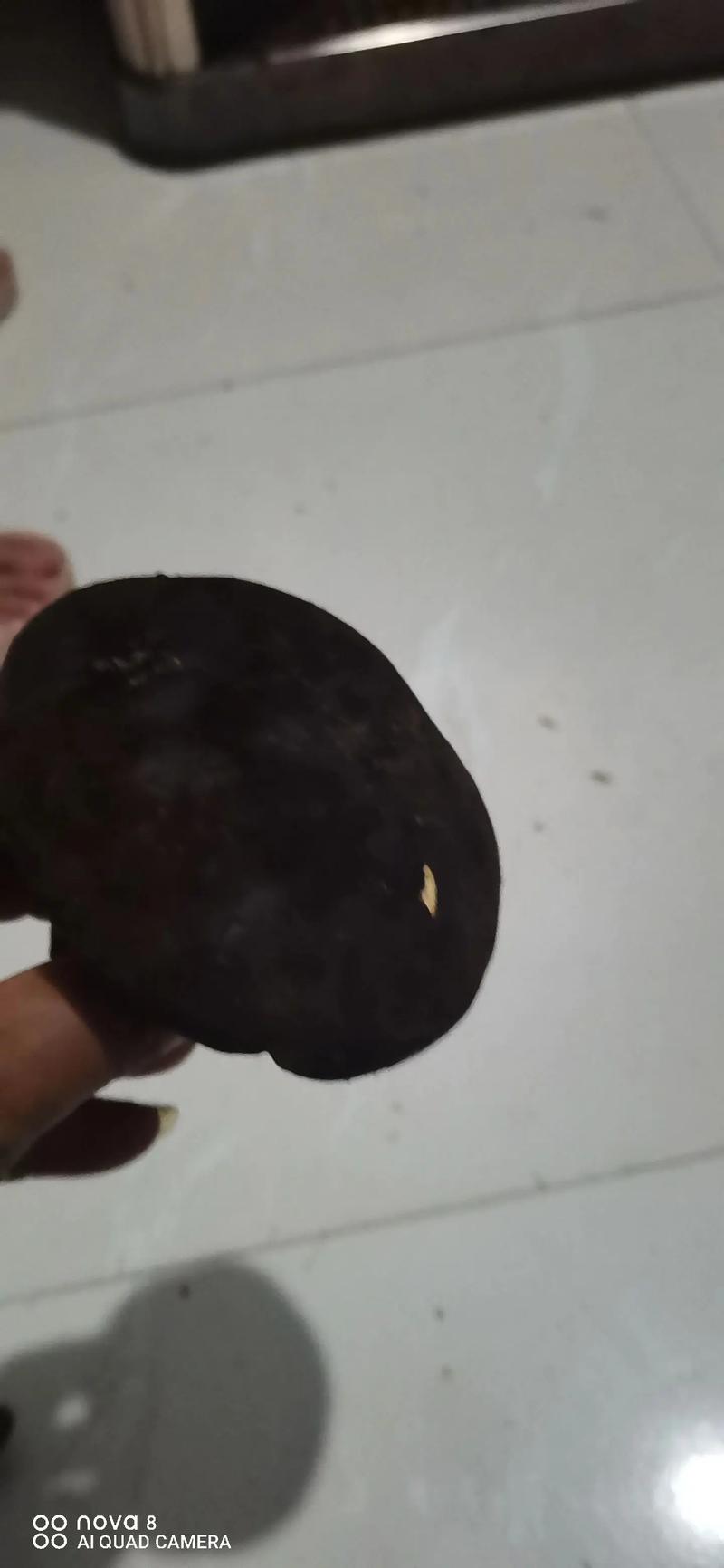 又大又长又粗又大又黑