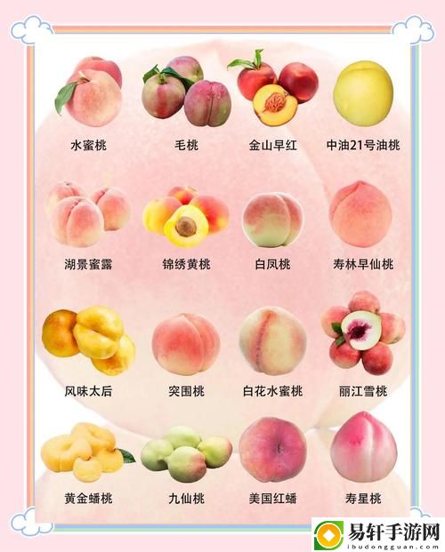 精品蜜桃秘一区二区三区有什么区别