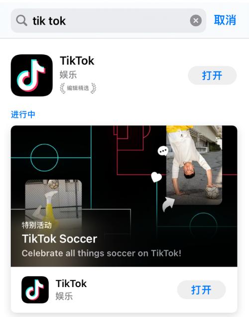 tiktok色板免费网站ios