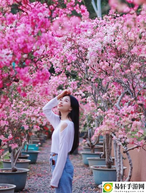 头埋在我花丛里