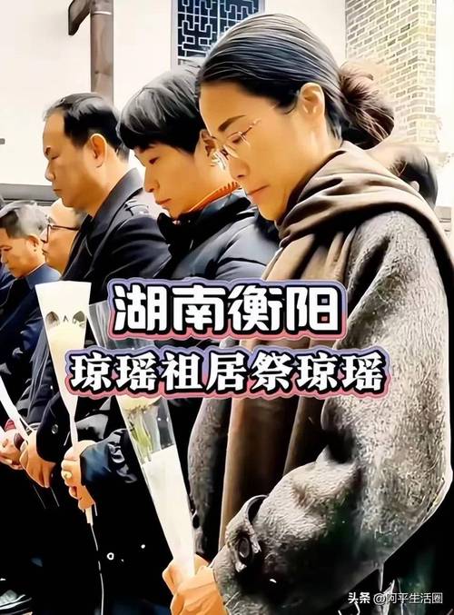 王伟忠带梦莹二次回老家祭祖