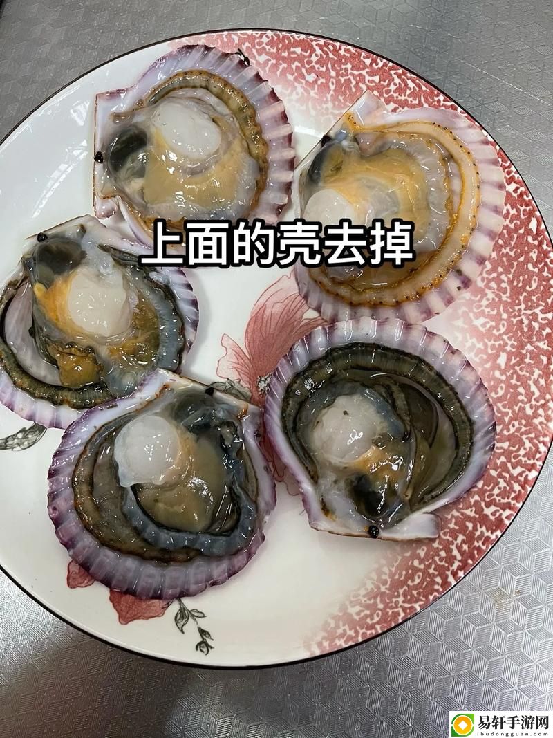 小东西你的扇贝都开张了