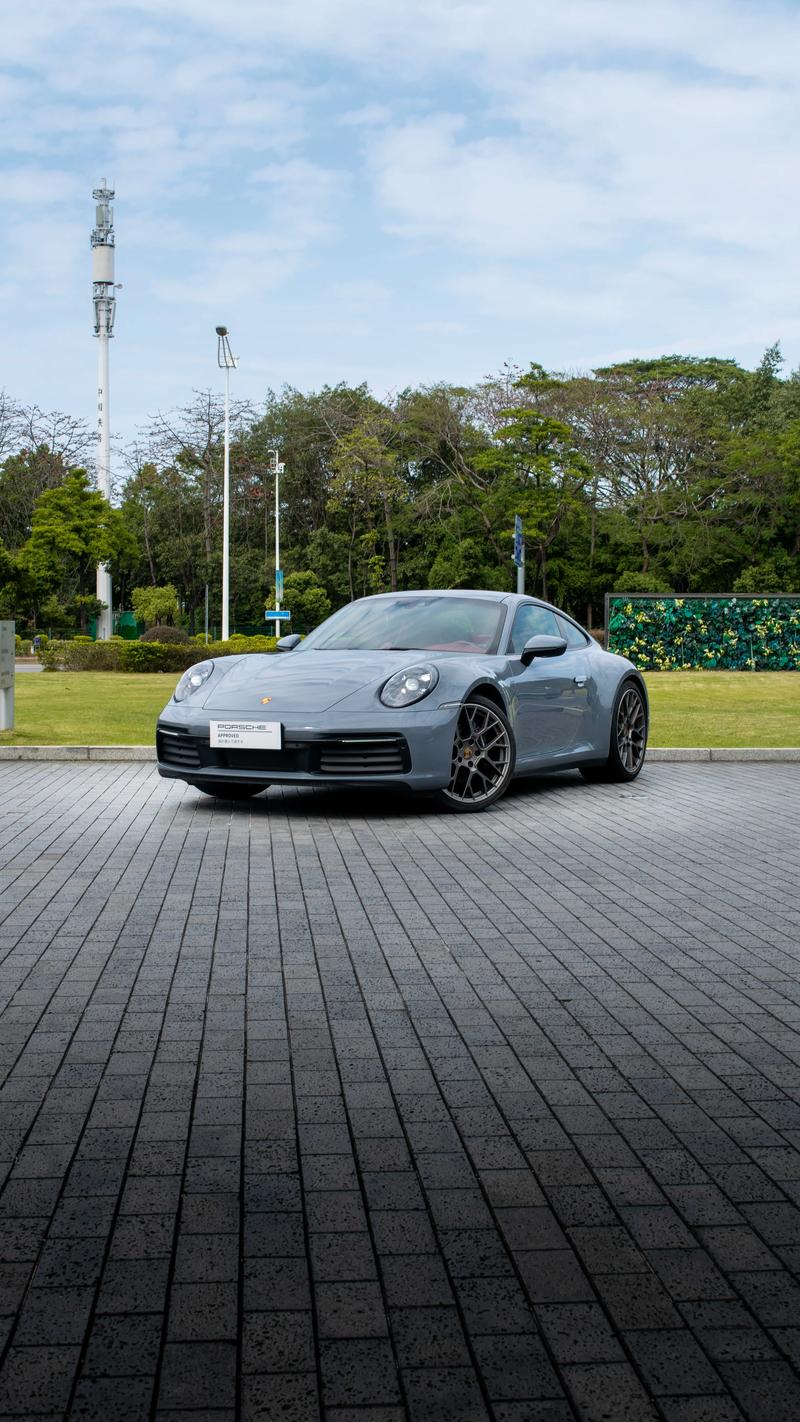 国产精品911