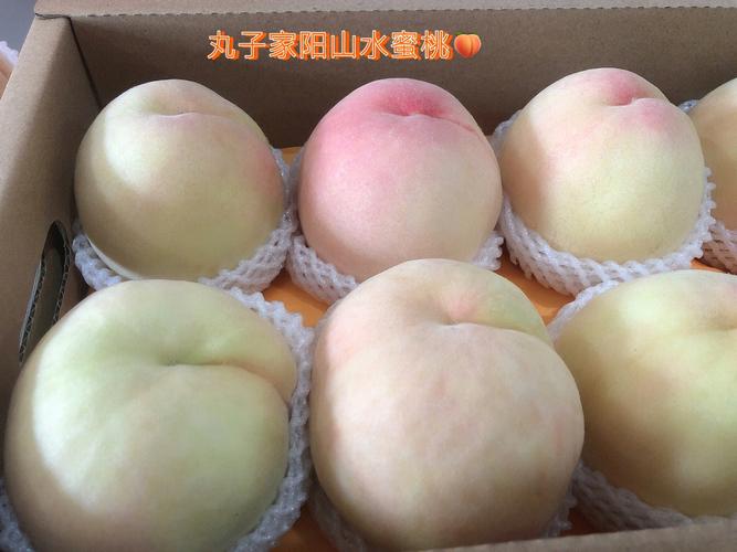 蜜桃5
