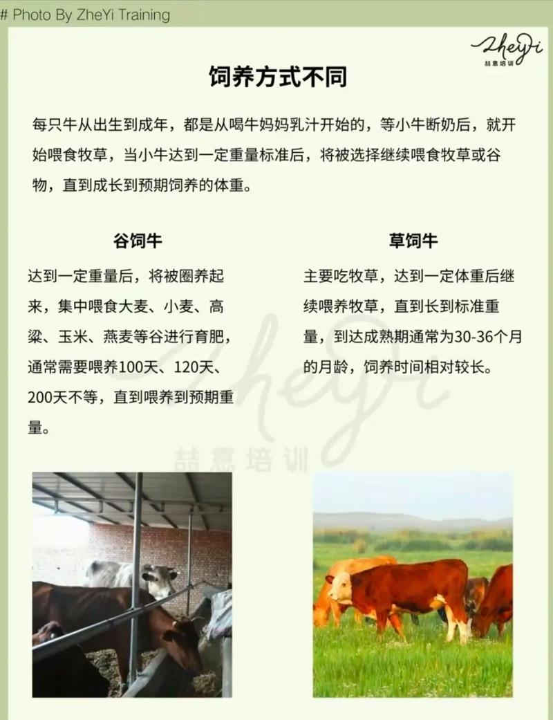 老牛嫩草一区二区三区的区别