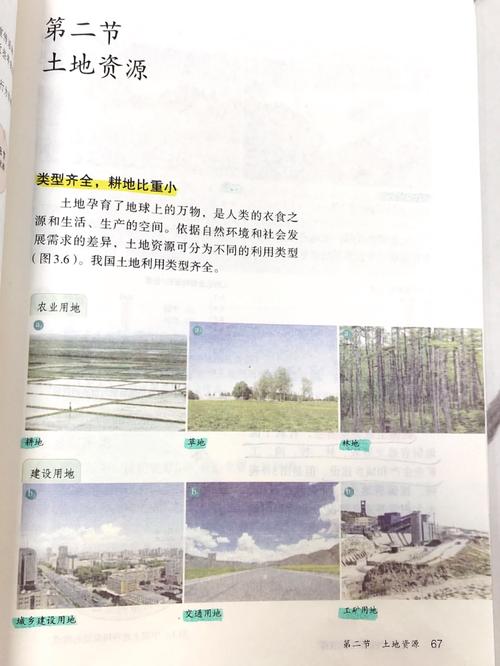 大地资源二中文高清版本