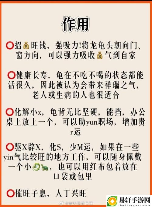 大BBBBBB老人的爱情与财运