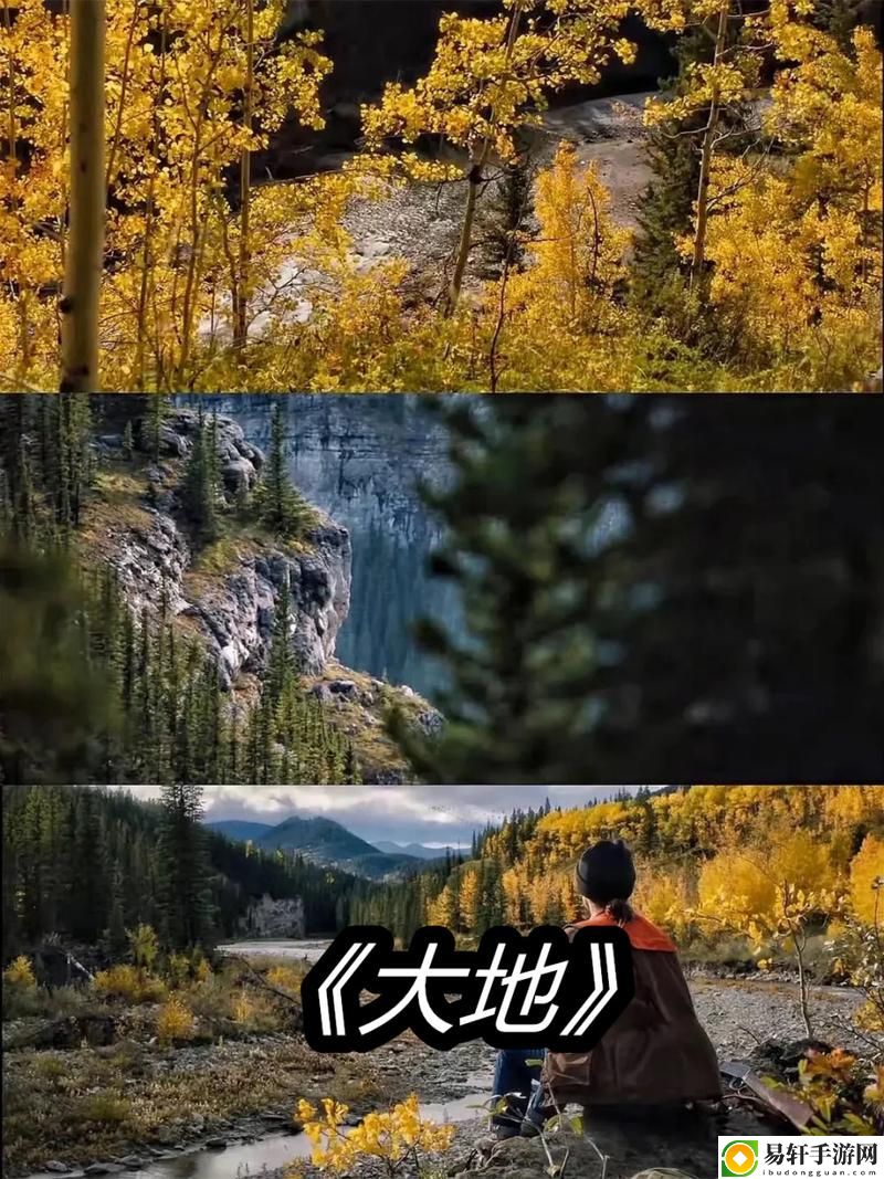大地资源二中文在线观看高清