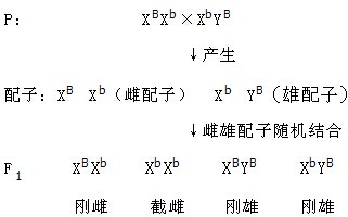 性xBxBlxBxBxB