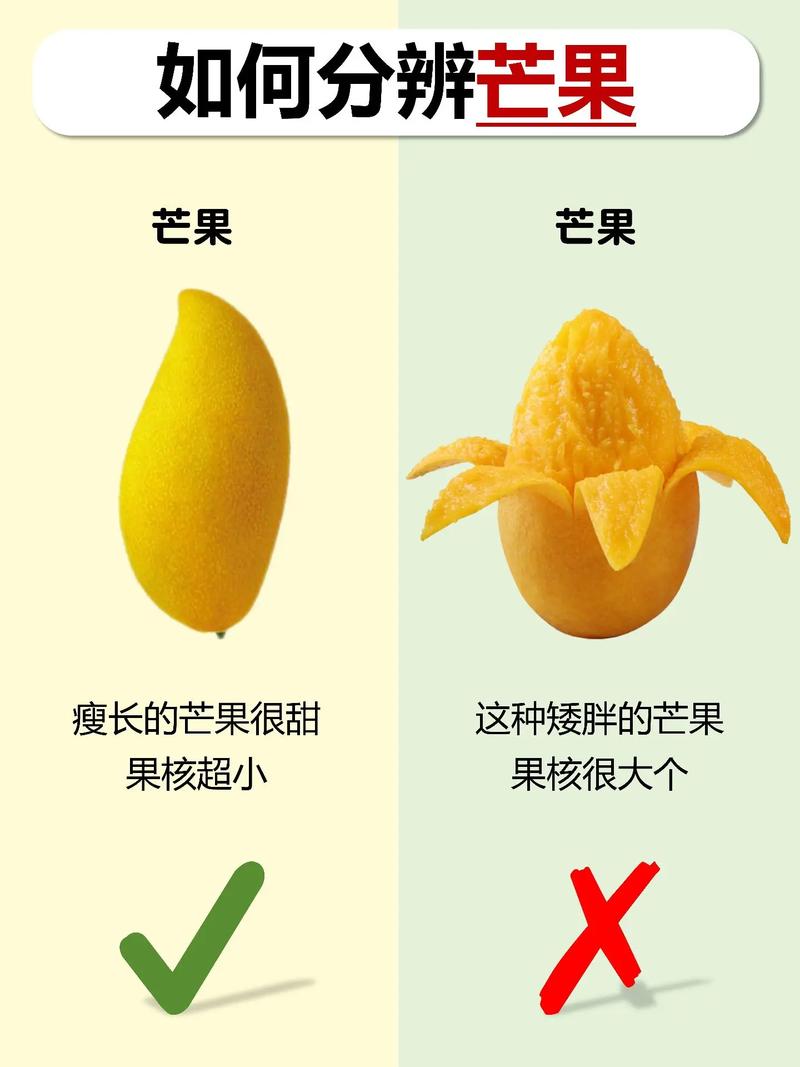 丝瓜秋葵草莓香蕉榴莲芒果大全