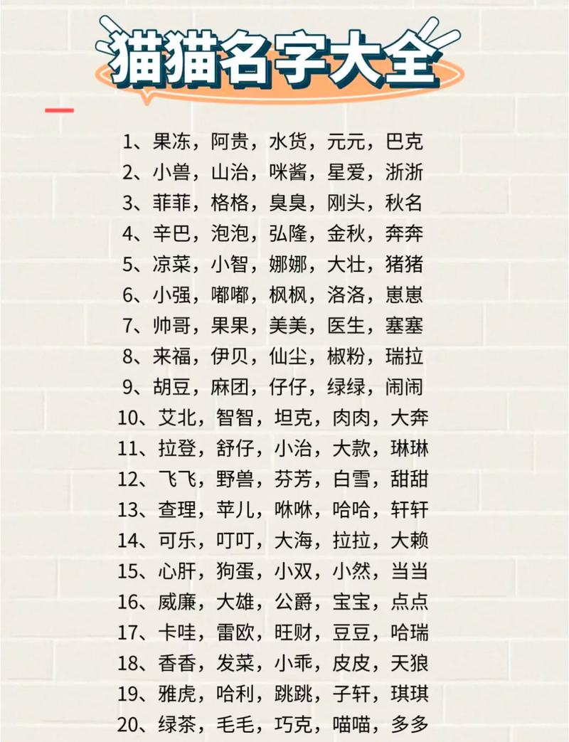 猫咪网名3336pt3