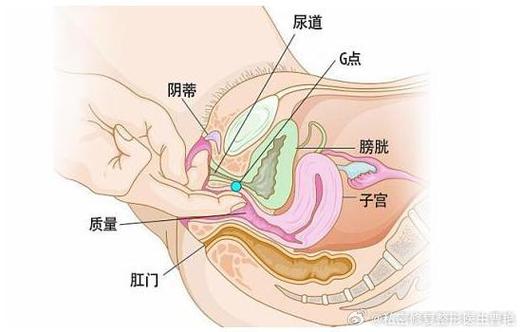 探索“大荫蒂BBBBBB大荫蒂”的神秘世界