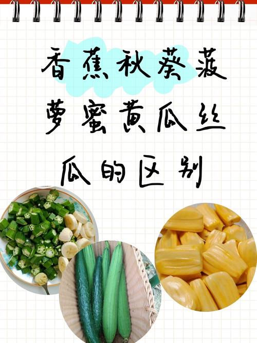 香蕉榴莲丝瓜草莓黄瓜歌词