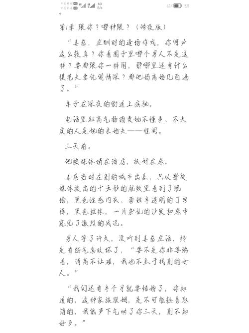 疯狂的夜晚苏柔小说全文阅读：一场命运交错的奇幻旅程