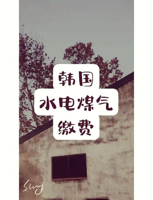 探索好看的韩国三色电费背后的生活哲学