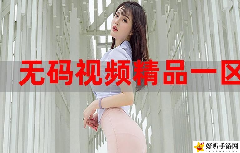 精品视频一区二区