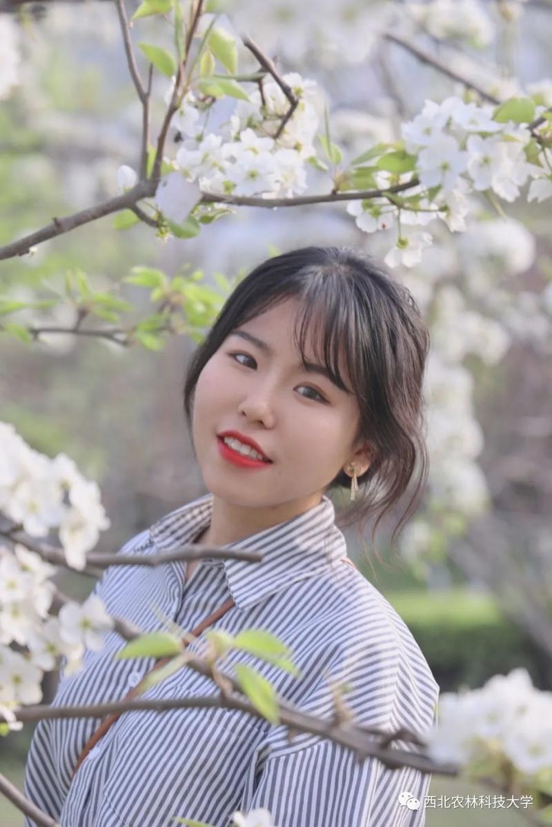 小幺女一级毛片AAA春巴櫻樱女