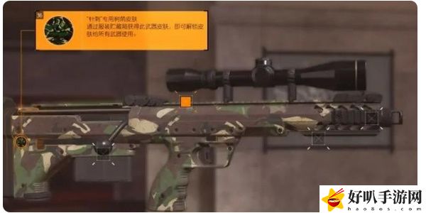 《全境封锁2》武器皮肤装备方法