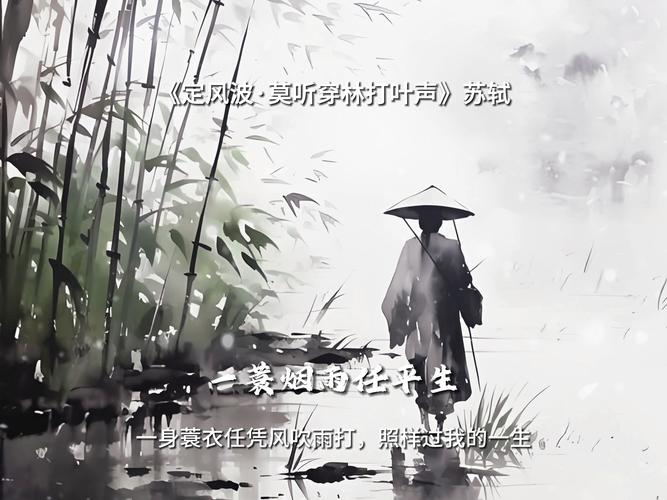 苏家有女1v5一蓑烟雨，网友分享：风雨无阻，独自撑起一片天