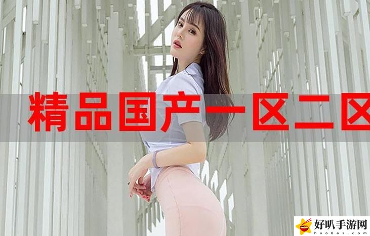 91国精产品秘 一区二区三区