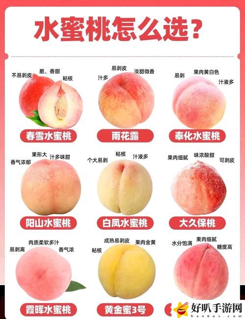 蜜桃国精产品二三三区