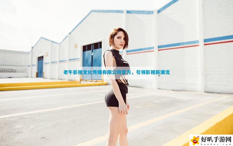 精品老牛文化传媒有限公司