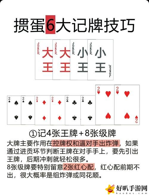 打牌生猴子的视频大全教程