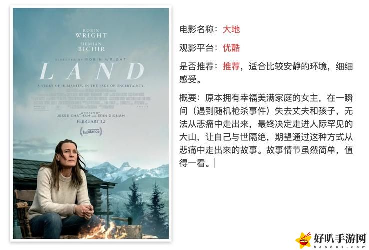 为什么“大地资源二中文在线影视免费观看”会成为观众追捧的新选择？