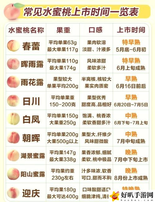 蜜桃精产品二三三区
