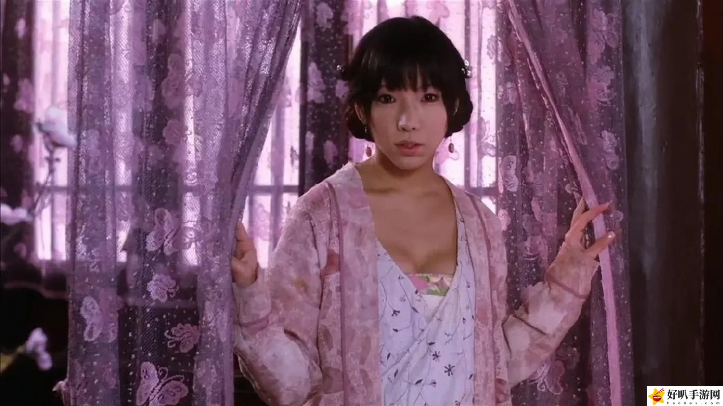 《金花瓶楷梅花2》观看
